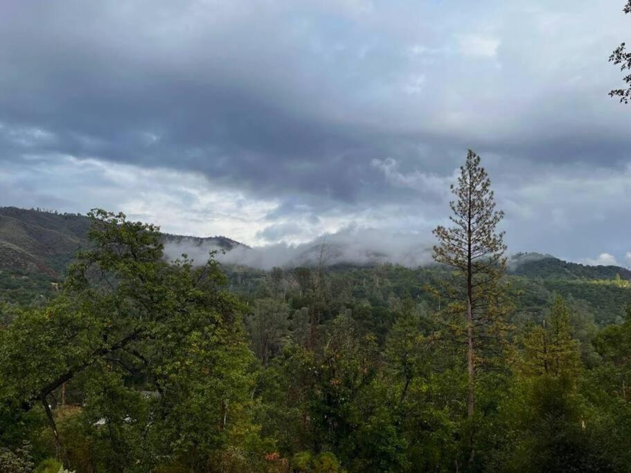 Yosemite'S Scenic Hideaway Midpines Exterior foto